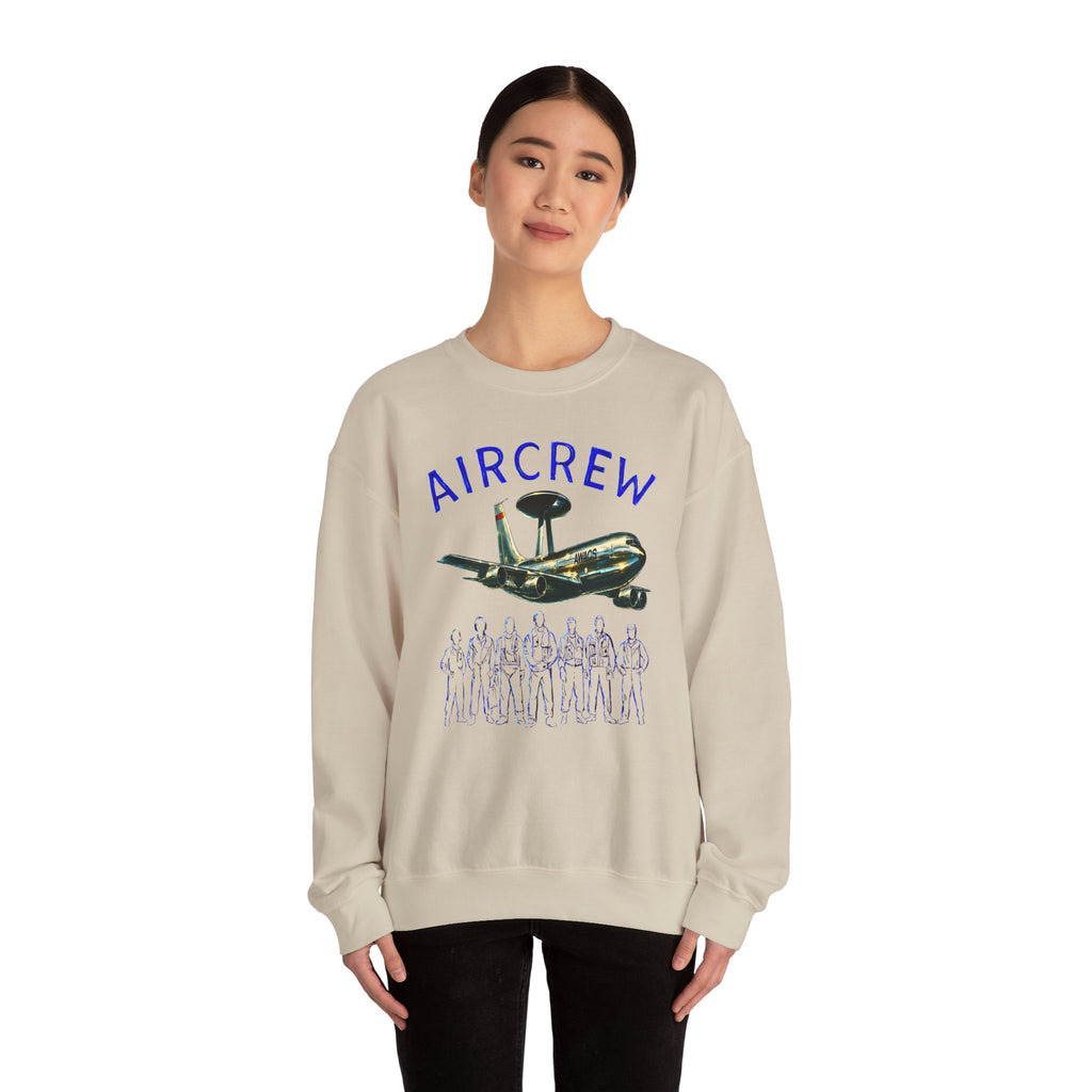 Aircrew Military Plane Graphic Sweatshirt