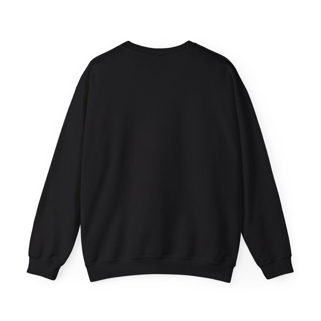 Aircrew Military Plane Graphic Sweatshirt
