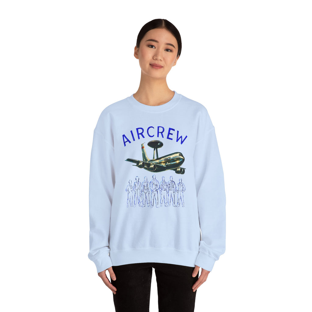 Aircrew Military Plane Graphic Sweatshirt