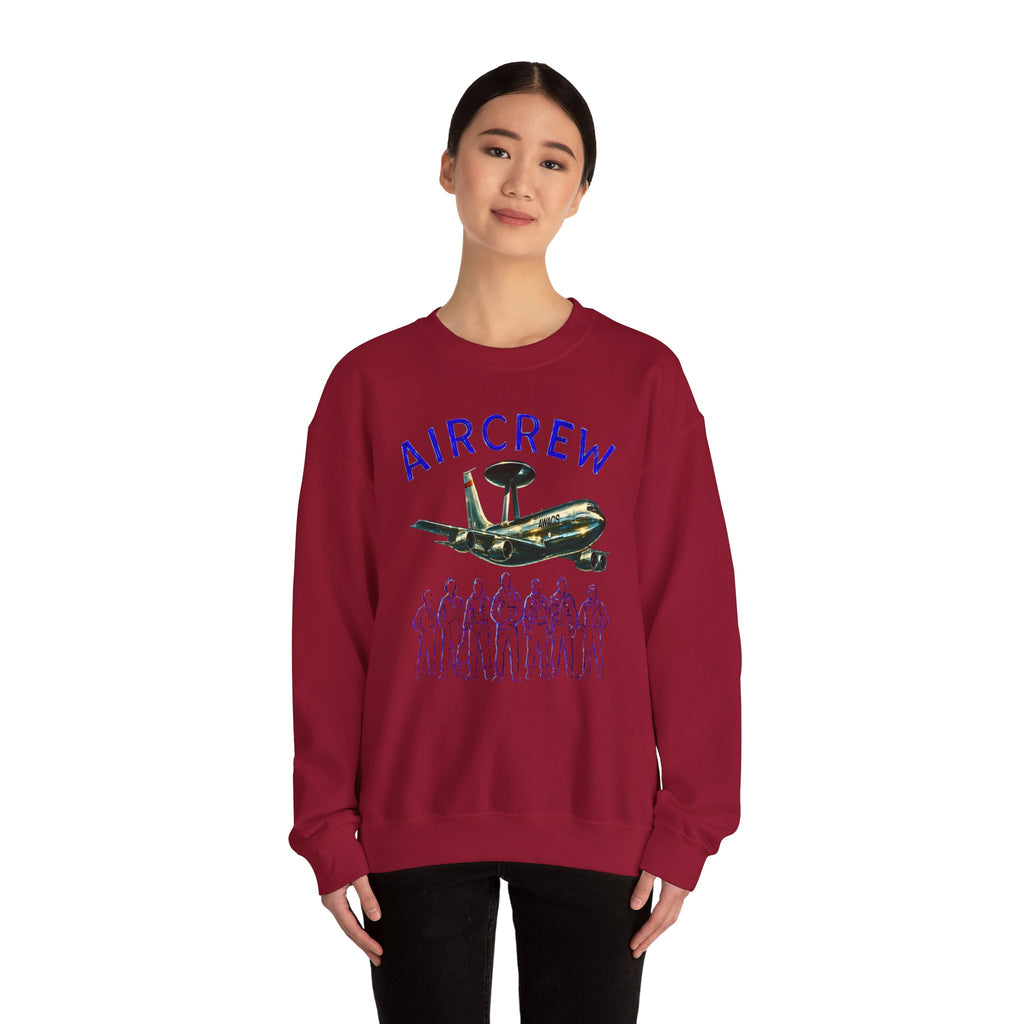 Aircrew Military Plane Graphic Sweatshirt
