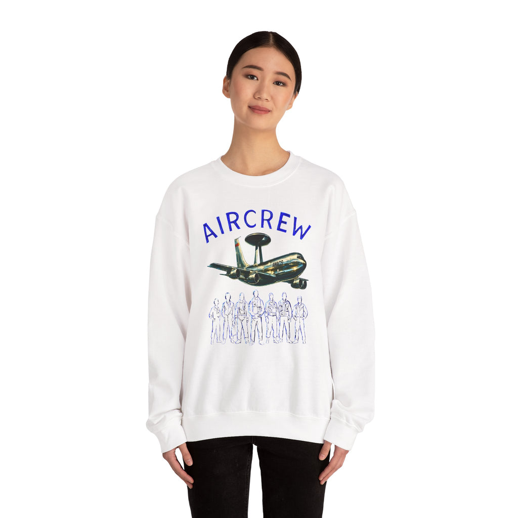 Aircrew Military Plane Graphic Sweatshirt
