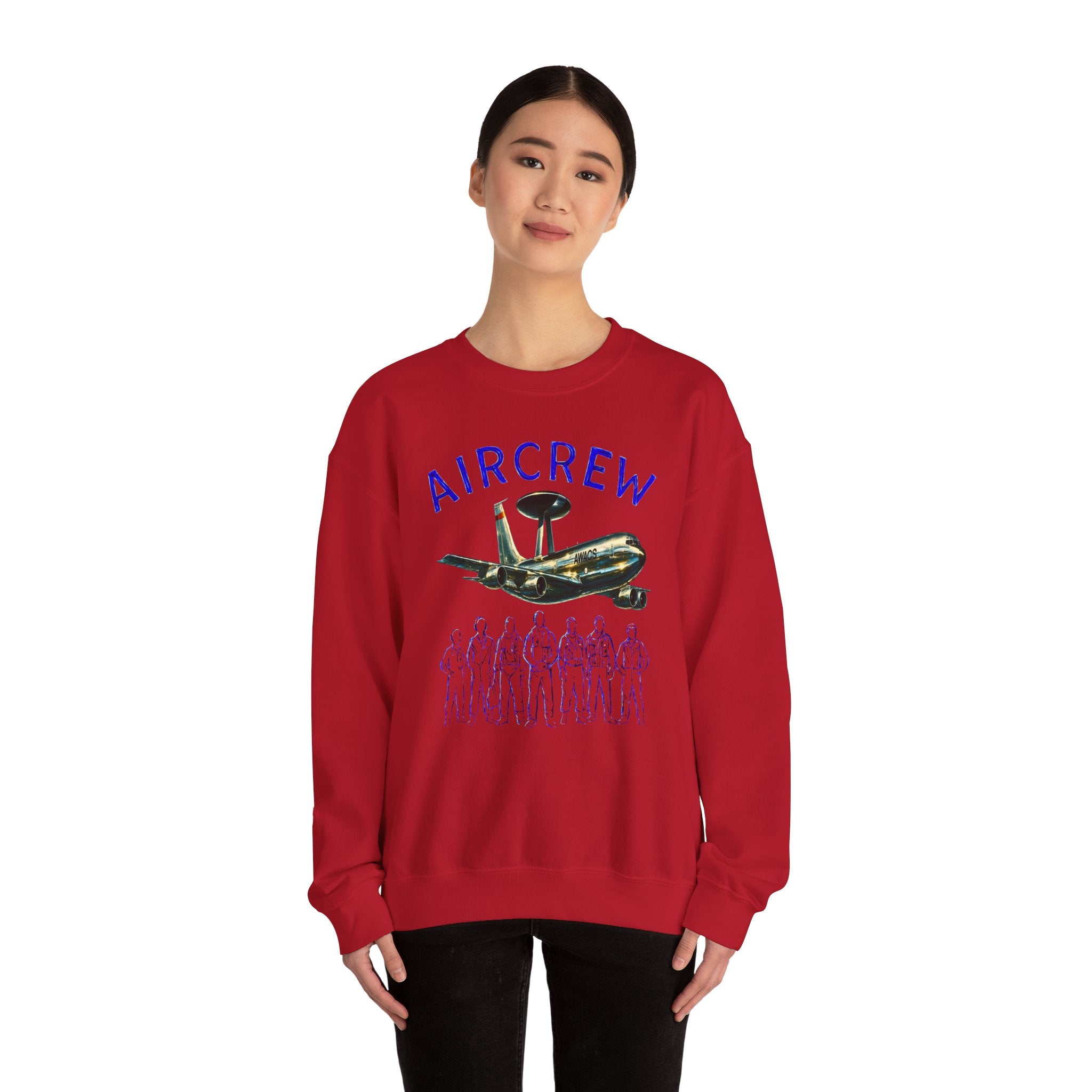 Aircrew Military Plane Graphic Sweatshirt