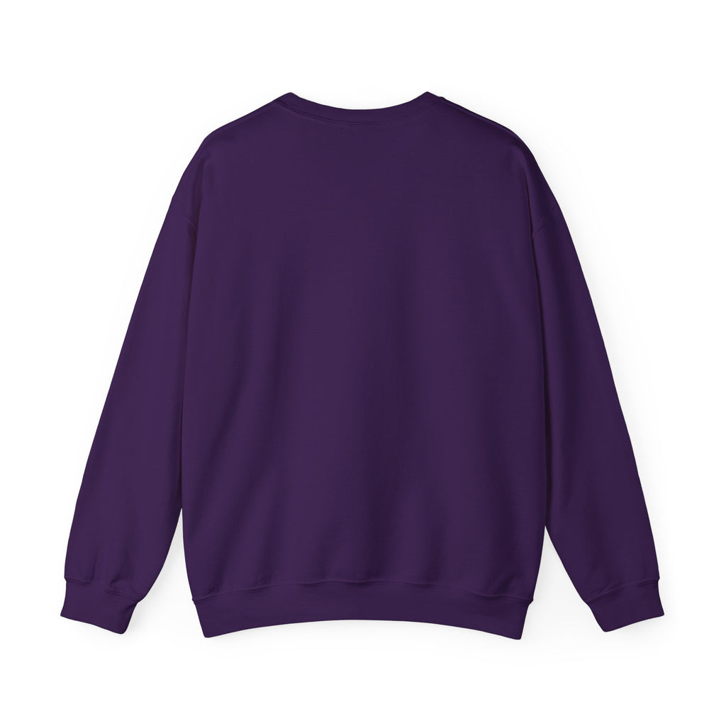 Aircrew Military Plane Graphic Sweatshirt