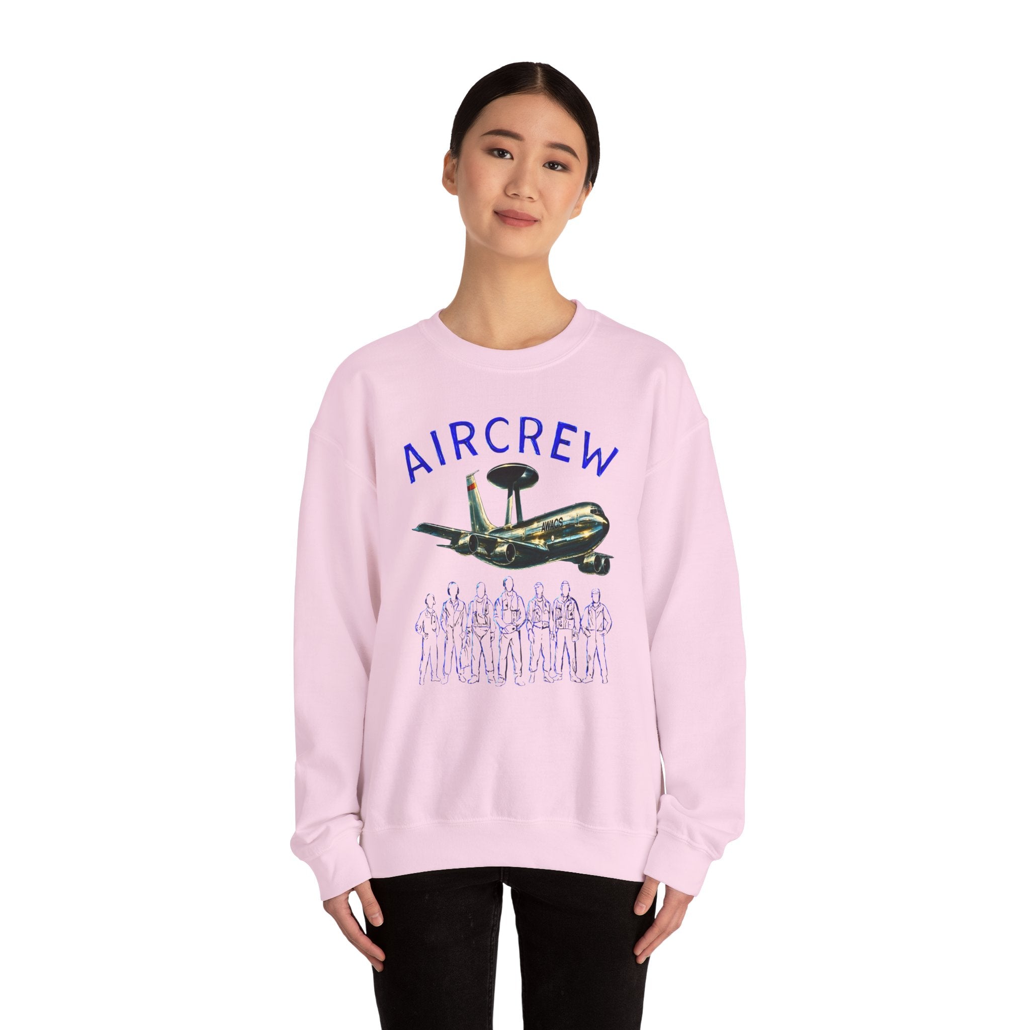 Aircrew Military Plane Graphic Sweatshirt