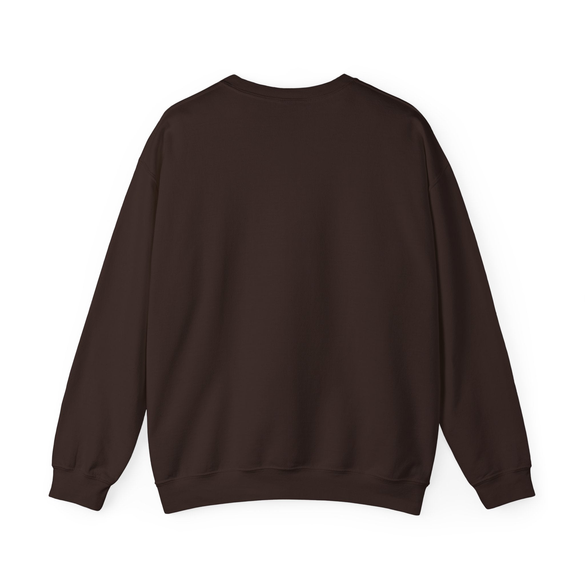 Aircrew Military Plane Graphic Sweatshirt