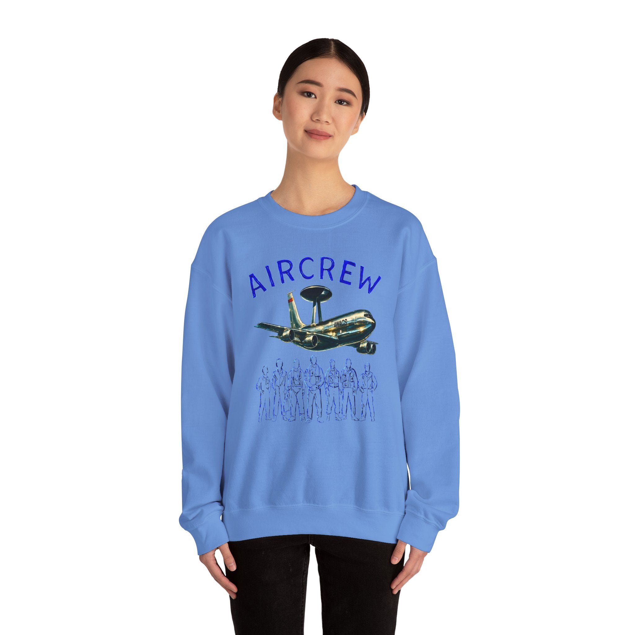 Aircrew Military Plane Graphic Sweatshirt