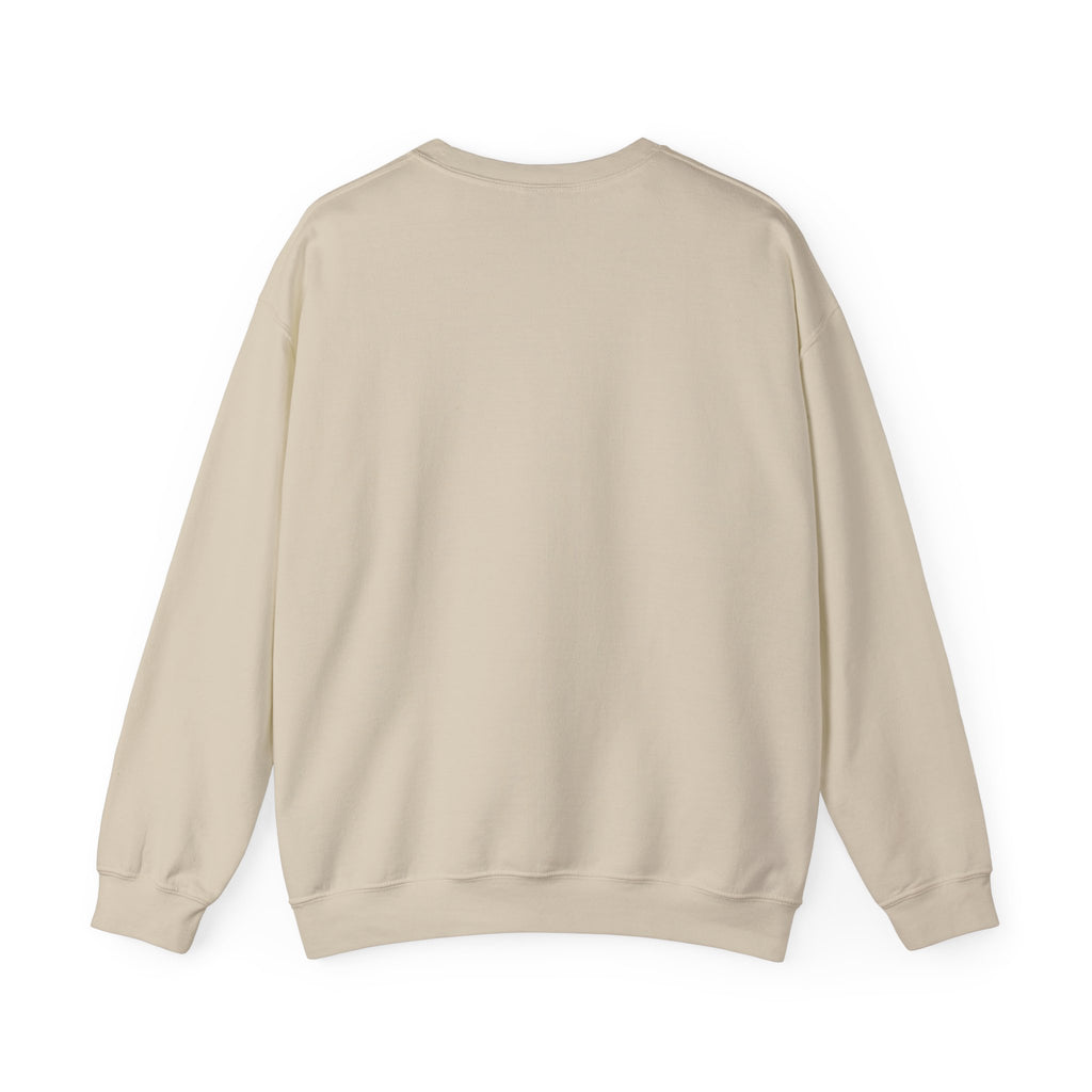 Aircrew Military Plane Graphic Sweatshirt