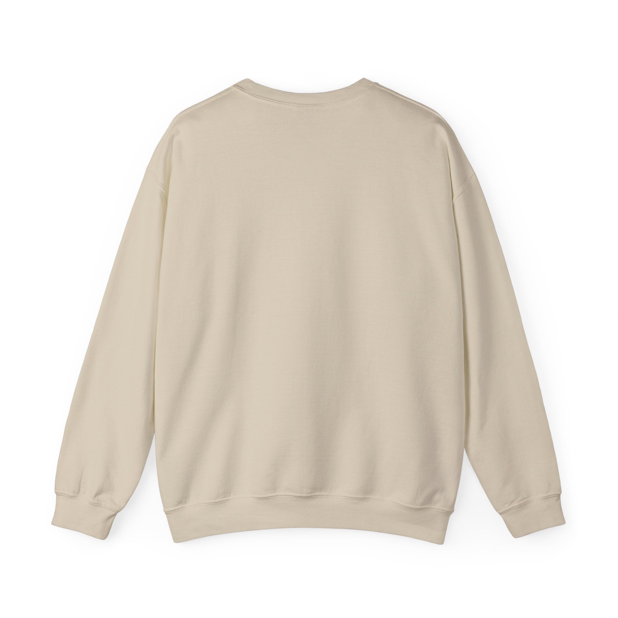 Aircrew Military Plane Graphic Sweatshirt