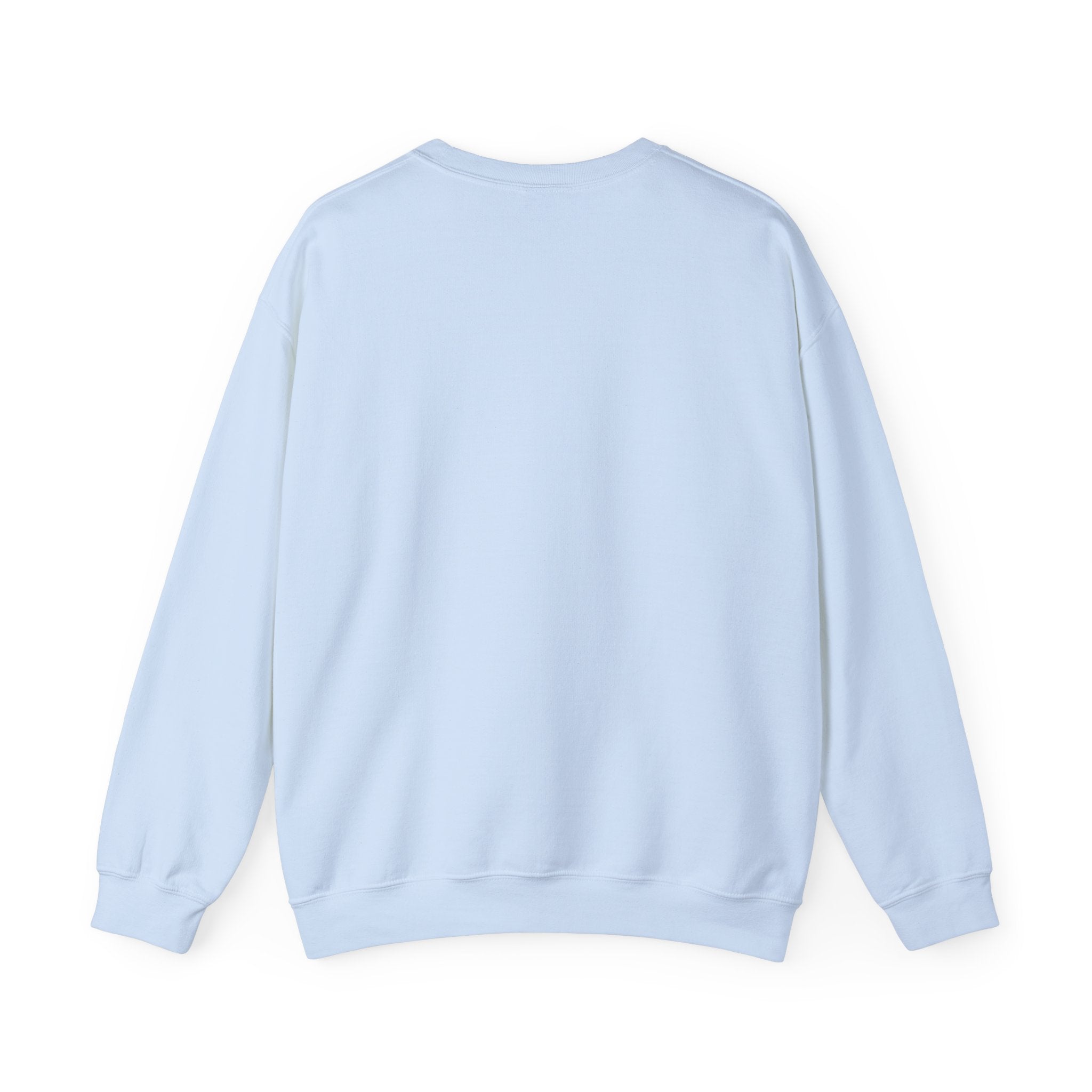 Aircrew Military Plane Graphic Sweatshirt