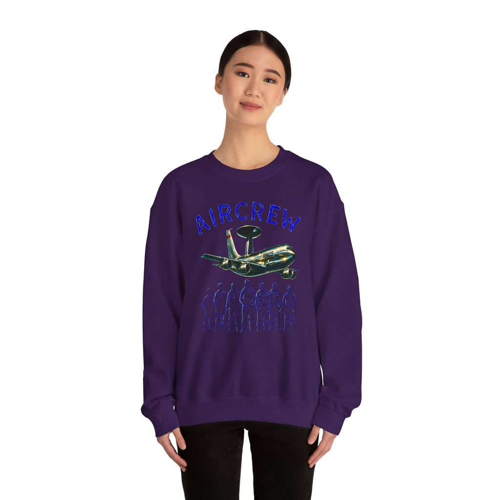 Aircrew Military Plane Graphic Sweatshirt