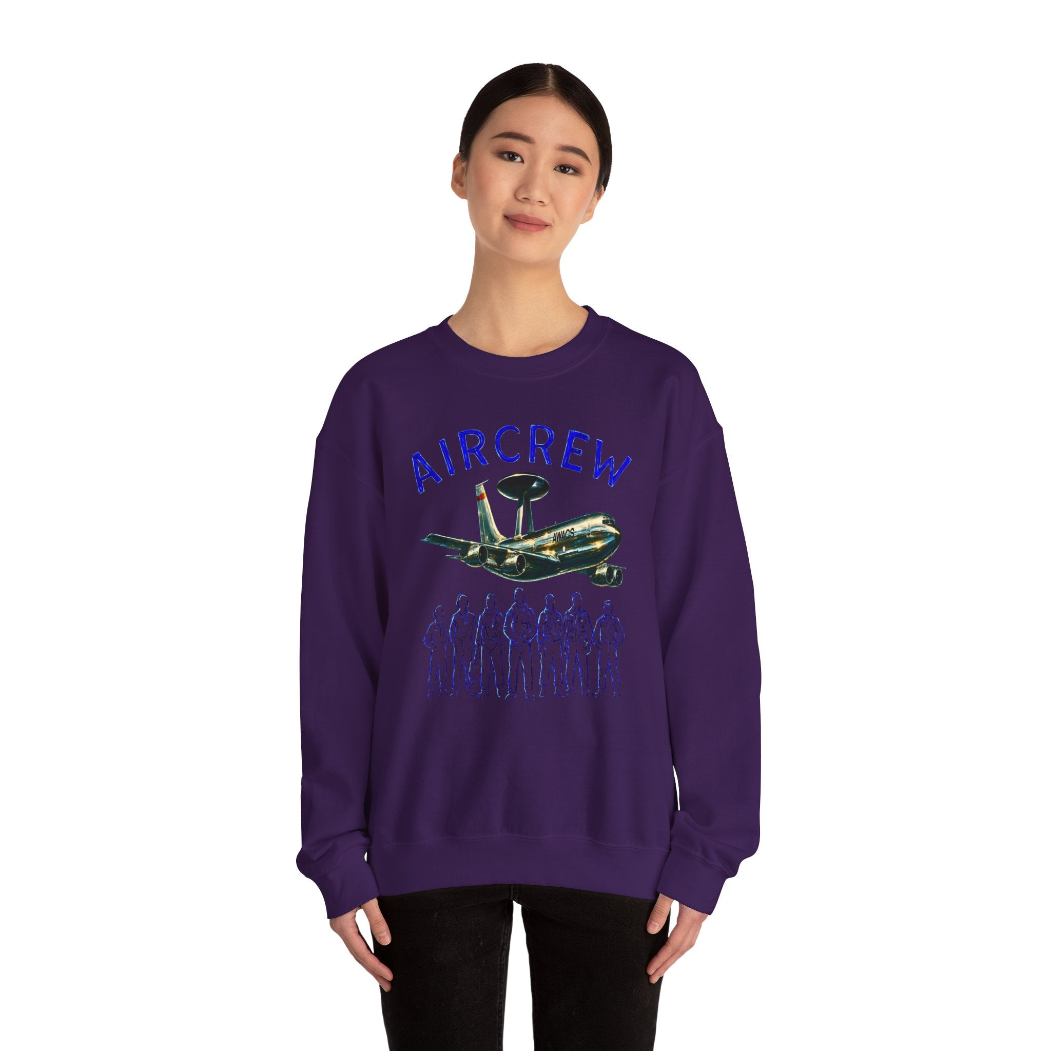 Aircrew Military Plane Graphic Sweatshirt