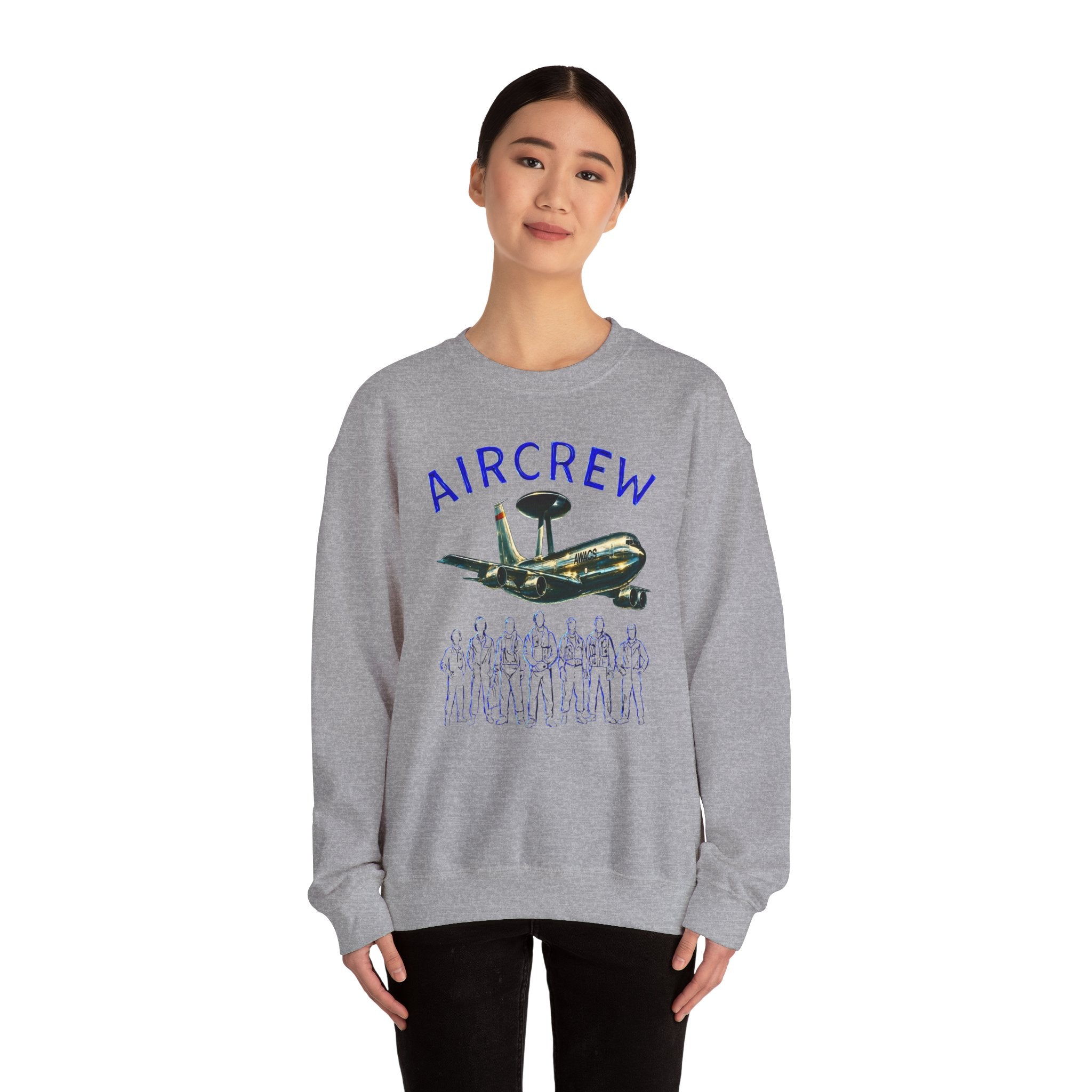 Aircrew Military Plane Graphic Sweatshirt