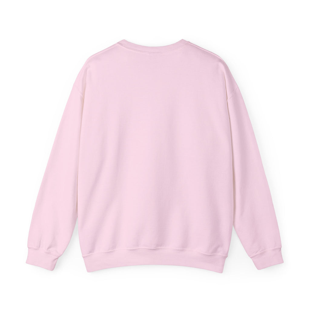 Aircrew Military Plane Graphic Sweatshirt