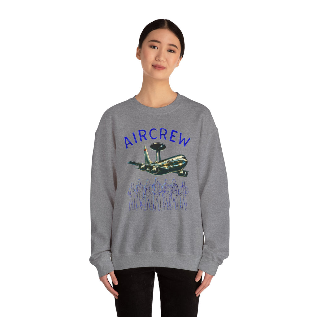 Aircrew Military Plane Graphic Sweatshirt