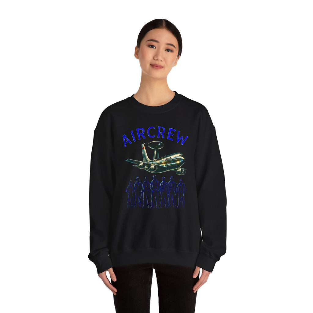 Aircrew Military Plane Graphic Sweatshirt