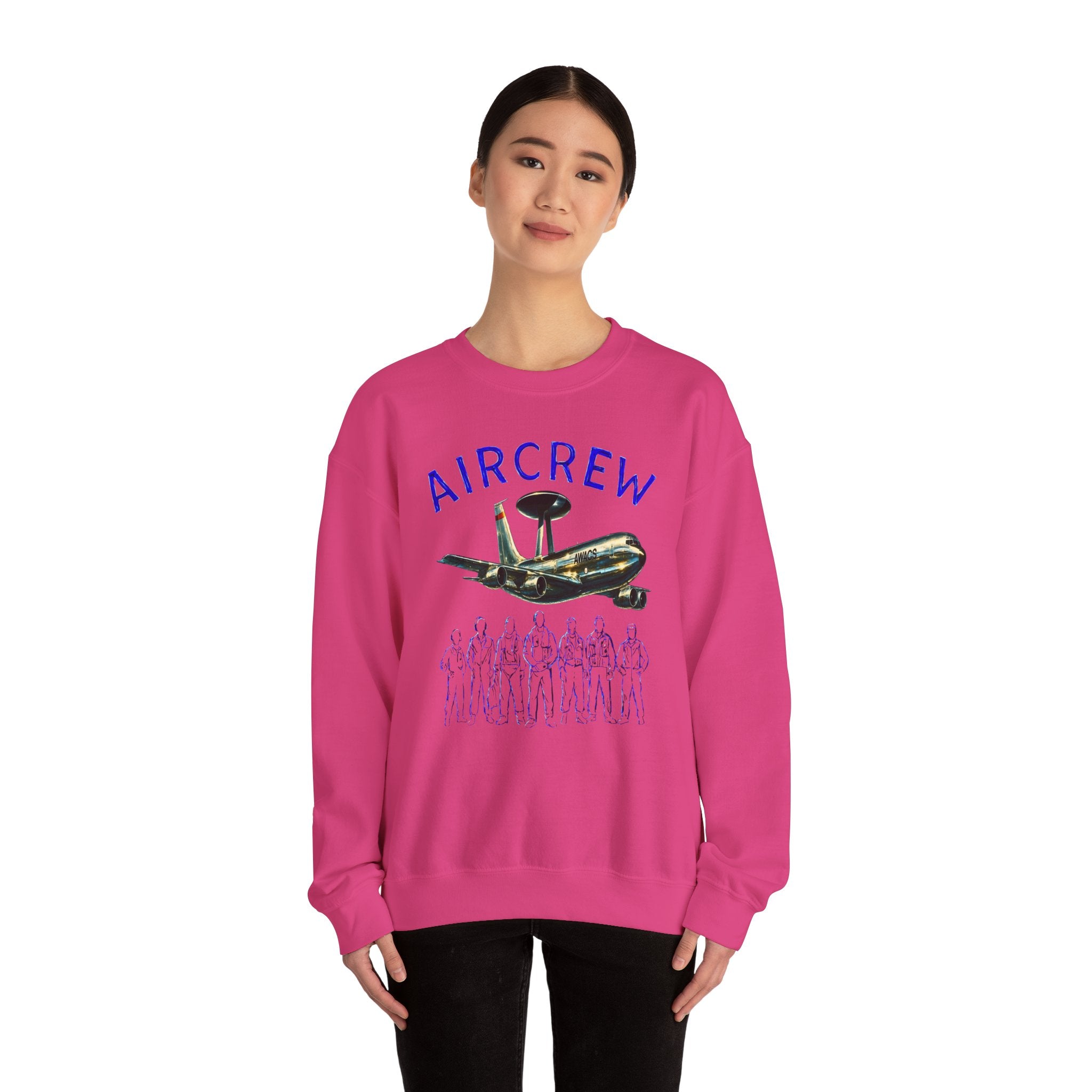Aircrew Military Plane Graphic Sweatshirt