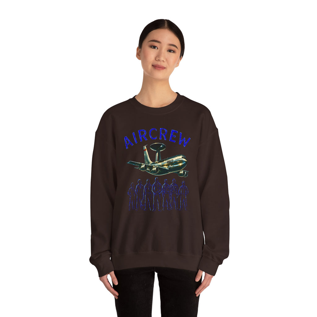 Aircrew Military Plane Graphic Sweatshirt